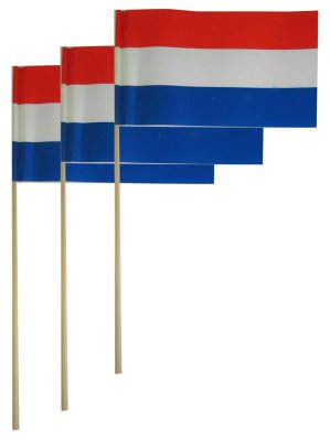 verwarring spelen Weerkaatsing Papieren vlaggetjes op stok rood/wit/blauw per 50 20x13 cm. | Feestwinkel  Party-Time